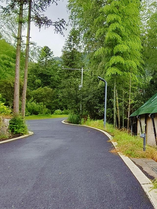 桂東23℃避暑秘境！喺湖南最高小城避暑睇銀河