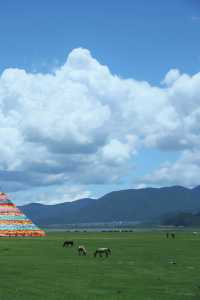 藏地避暑指南，高原反應星人也能輕鬆躺平看雪山！