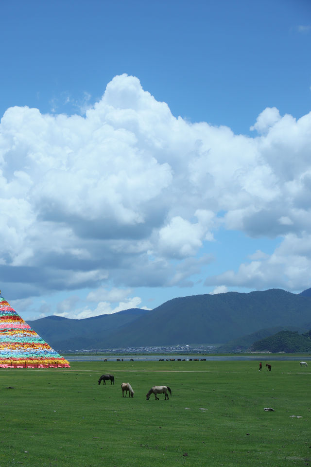 藏地避暑指南，高原反應星人也能輕鬆躺平看雪山！