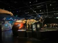 WA museum boola bardip 
