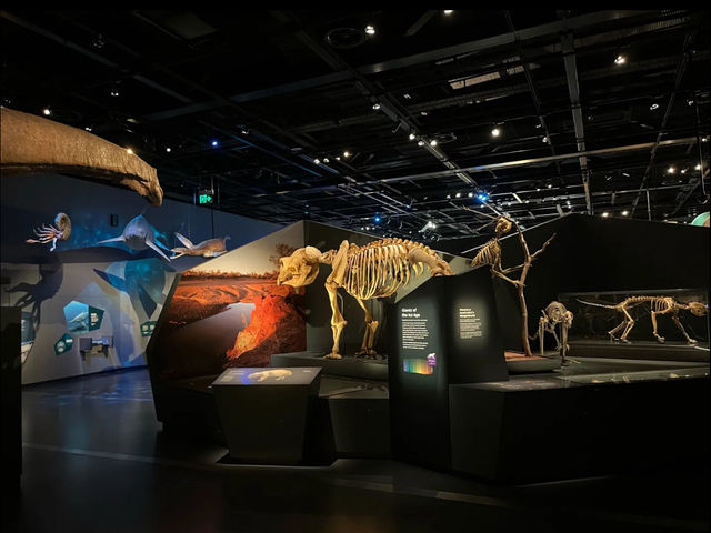 WA museum boola bardip 