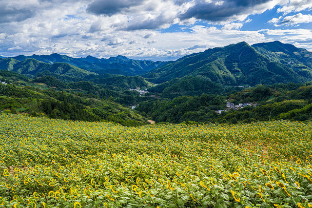 呢度咪就係我哋心入面嘅原野囉