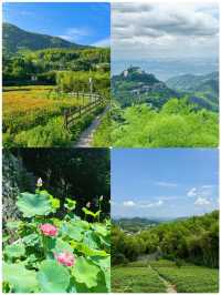 去咗5次莫干山，整理出嚟嘅路線