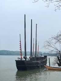 嘉善+嘉興+無錫 11日遊