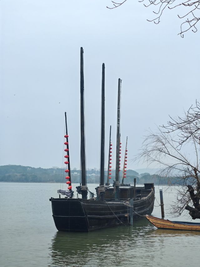 嘉善+嘉興+無錫 11日遊