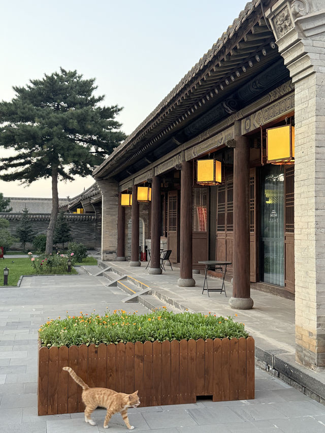 探秘浑源州署，解鎖古韻新體驗