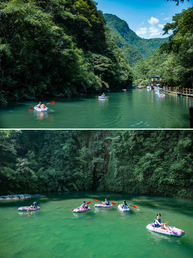 重慶金佛山 打卡18℃的夏天