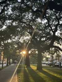 美國南方小鎮薩凡納 - 《阿甘正傳》取景地