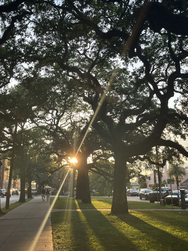 美國南方小鎮薩凡納 - 《阿甘正傳》取景地