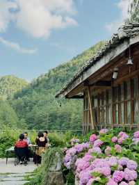 這間童話小屋太絕了！帶上狗狗來曾家山避暑吧～