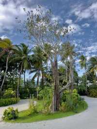 Comfortable Villas and Delicious Dining Experience