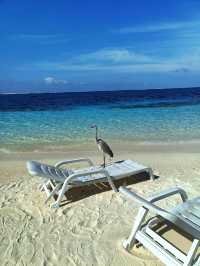A Relaxing Getaway at Adaaran Rannalhi