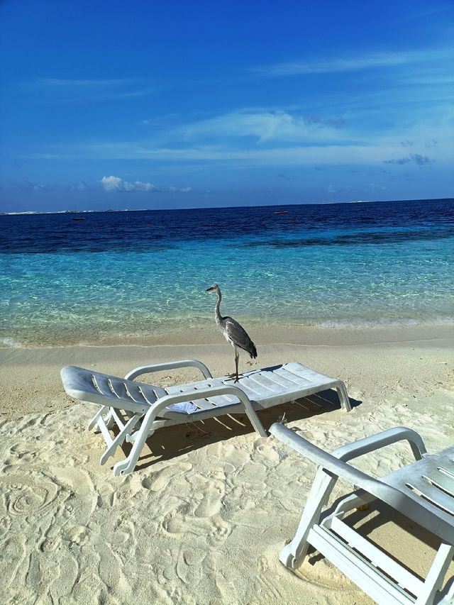 A Relaxing Getaway at Adaaran Rannalhi