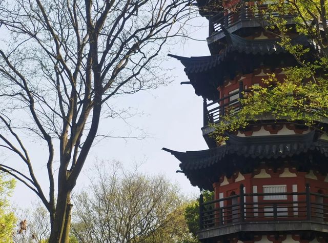 魔都週末登山好去處佘山爬山攻略