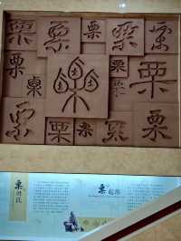 栗香滿溢,歲月醇厚:國家板栗文化館