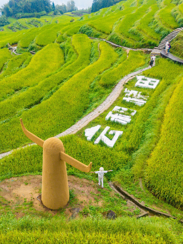 發朋友圈被問瘋了不是貴州！！是浙江！！