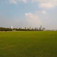 Sunday in Luogang Park, Hefei — Where the Whole City Comes to Breathe