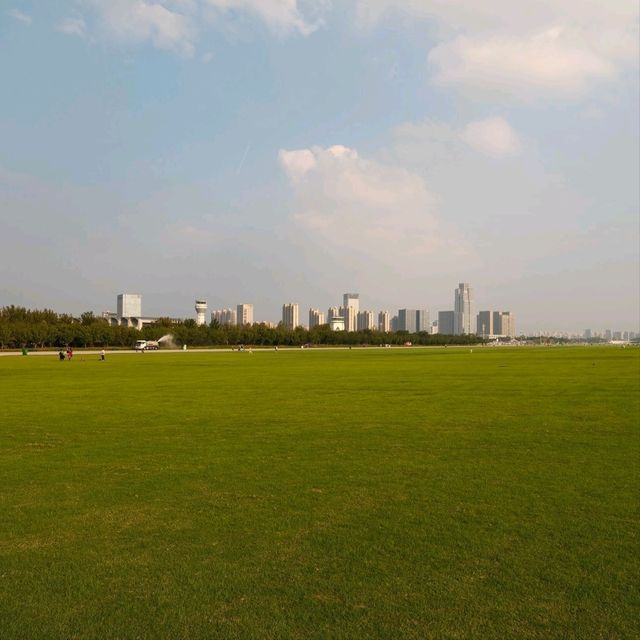 Sunday in Luogang Park, Hefei — Where the Whole City Comes to Breathe