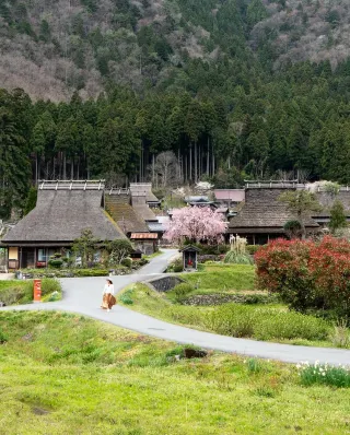 Tamano Travel Guide 2026: Top Attractions, Things to Do & Deals