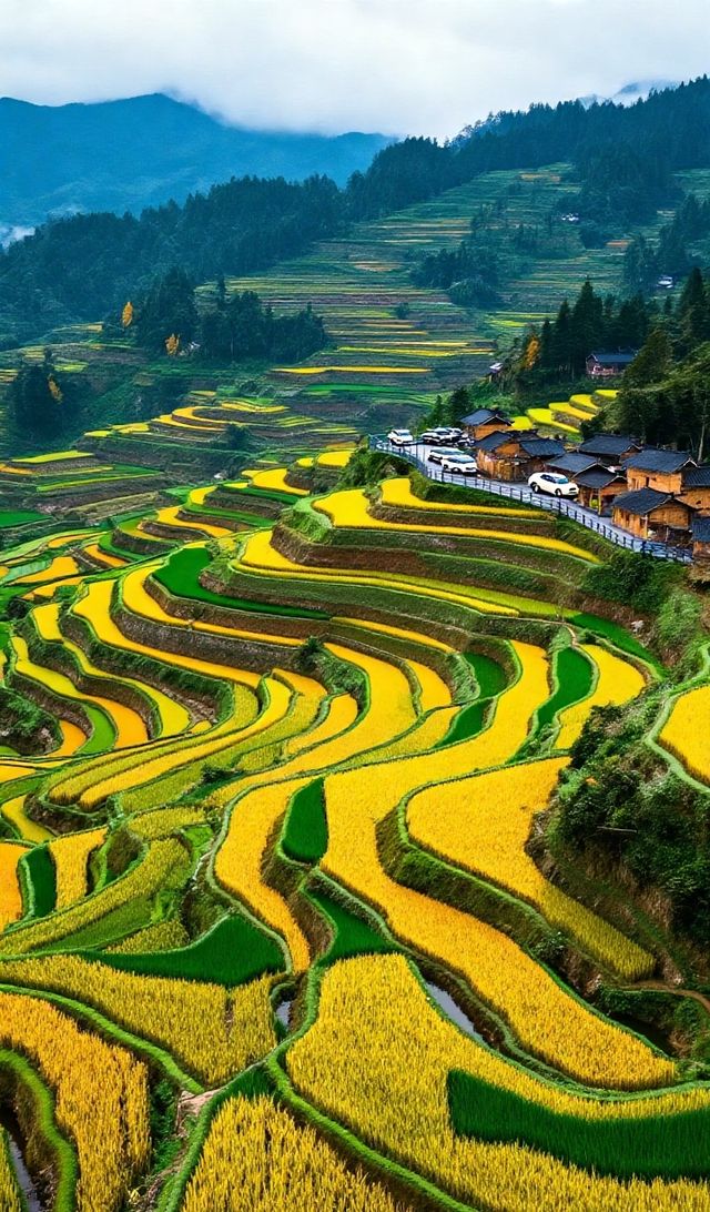 層層疊疊的田壟如天梯般蜿蜒山間，吊腳木樓隱現於雲霧中如仙境