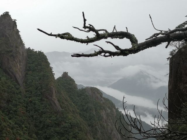 我看到的三清山