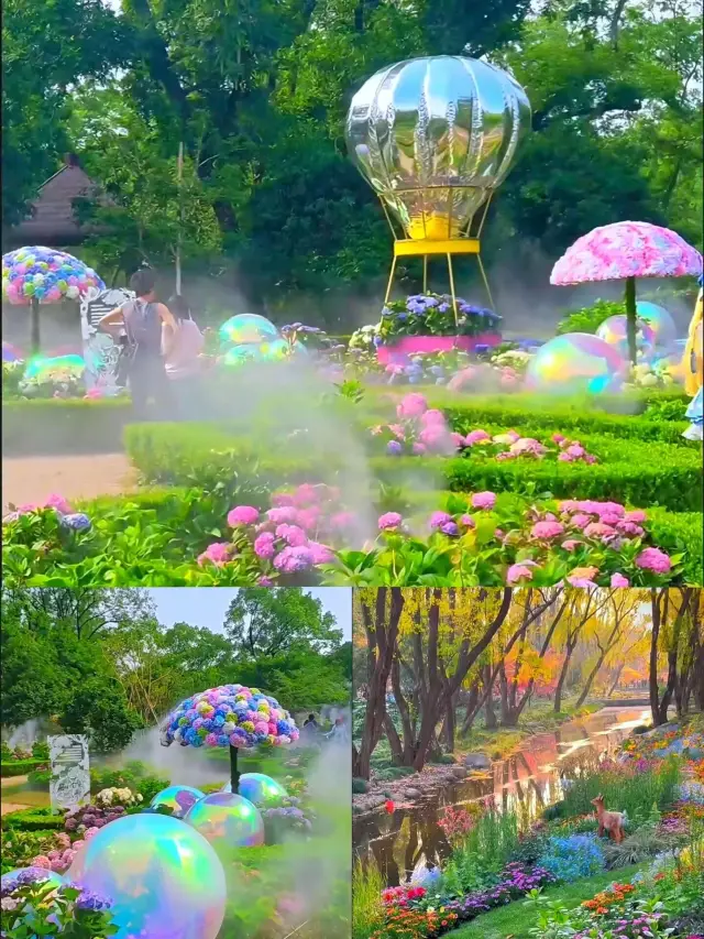 Hidden gem in Shanghai! The same pink muhly grass as Monet's Garden will blow your girly heart away!