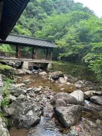 衢州藥王山|馬尾瀑下聽泉鳴 原始林中覓仙蹤