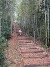 野放的一家|青山村徒步