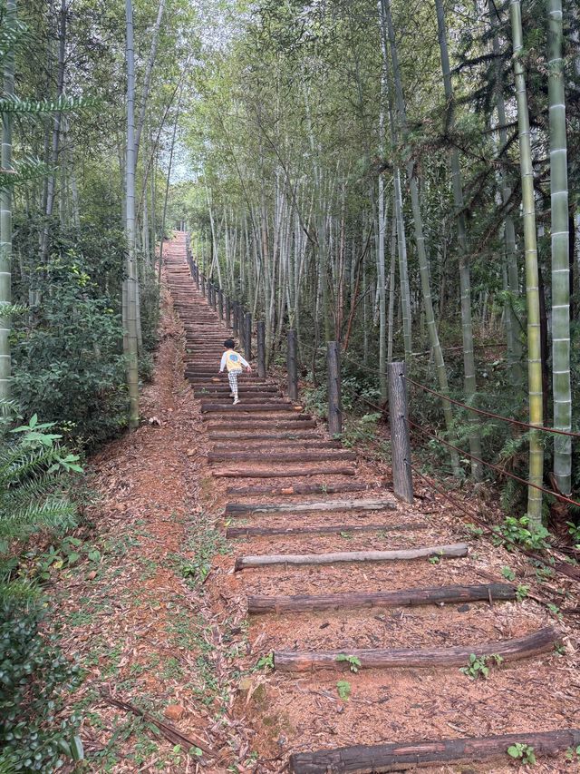 野放的一家|青山村徒步