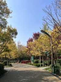 西安東郊免費遛娃寶藏地，幸福林帶兒童樂園太香啦！