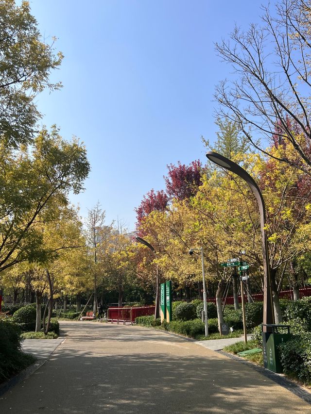 西安東郊免費遛娃寶藏地，幸福林帶兒童樂園太香啦！