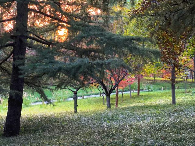 濟南植物園｜墜入童話般的秋日遛娃秘境|