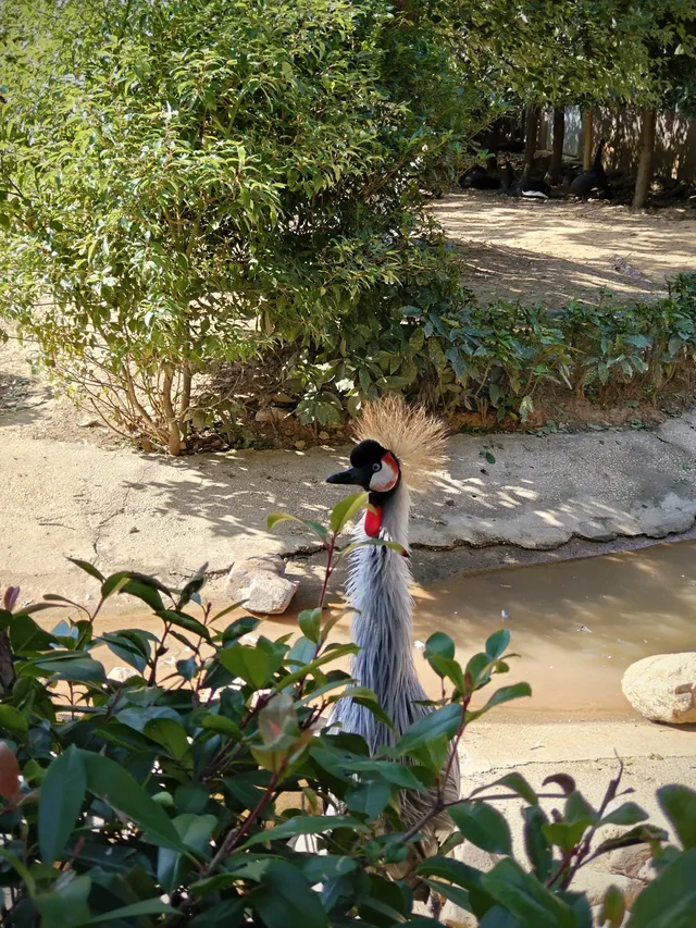 逃離上海，來太湖龍之夢過週末啦