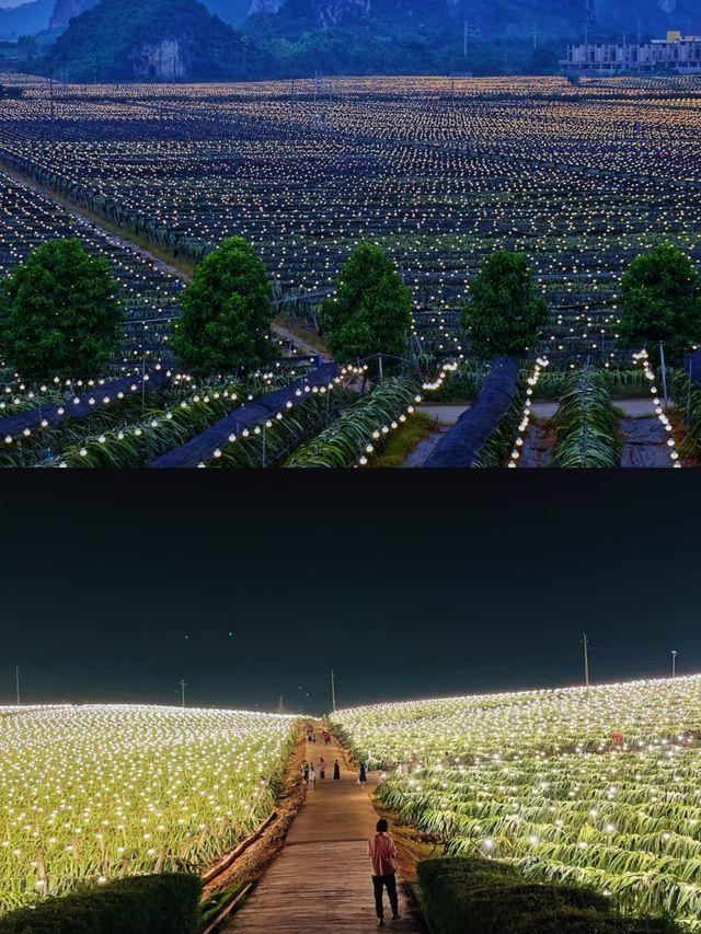 【南寧周邊1h】在廣西，發現一片掉落地上的星星