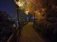 白天俯瞰江景，晚上欣賞燈光匯演，磨基山24小時漫遊指南：

磨基山作為宜昌「城市陽台」，既能徒步吸氧、俯瞰