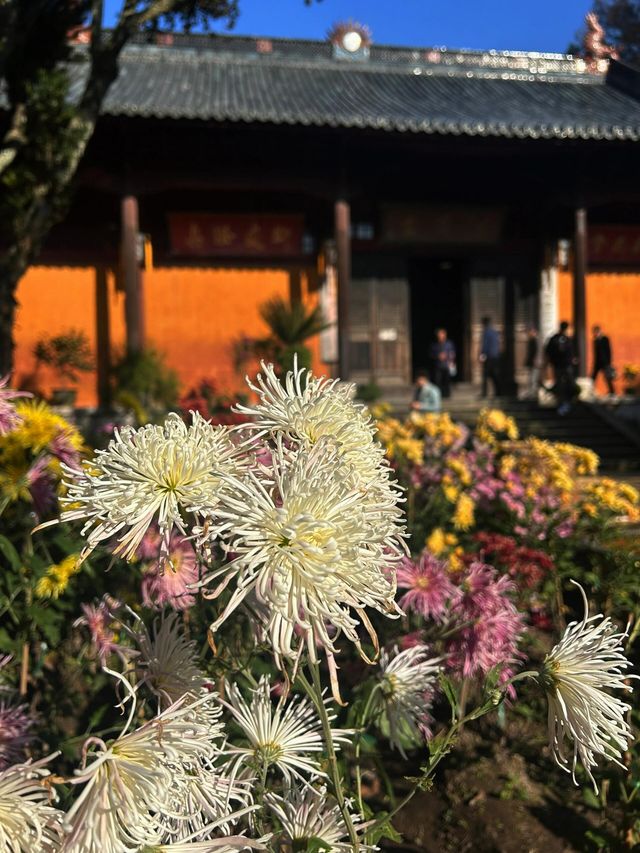 霞客古道秋日暴走