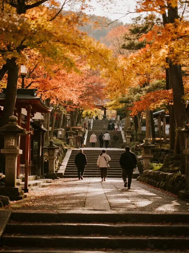 關西五日繪卷｜收集古都的千年物語