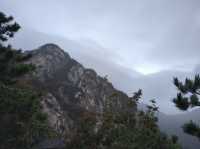 霧隱嵐山火燭幽