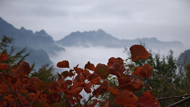 鄭州｜週末活動彙總賞秋專線