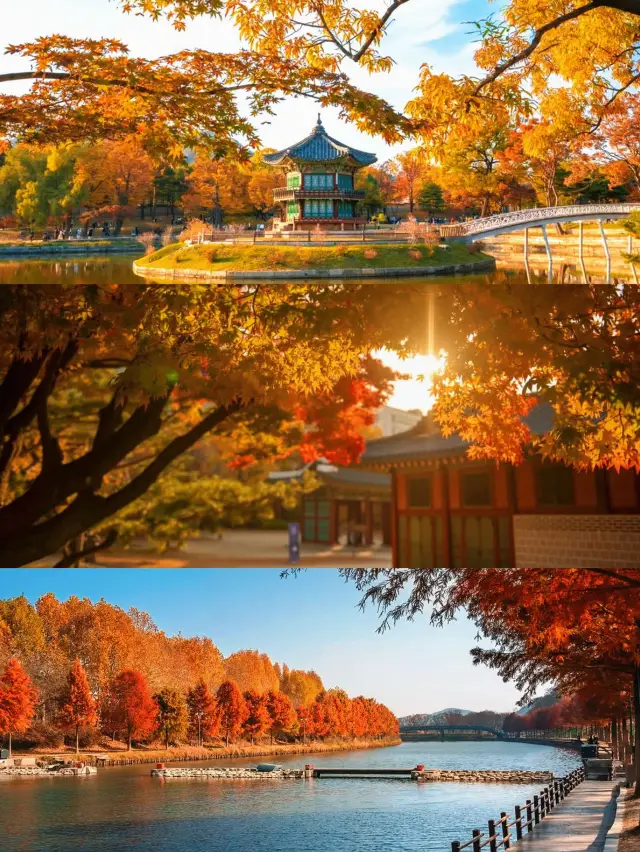 Seoul Autumn 20,000 Steps Citywalk Best Route