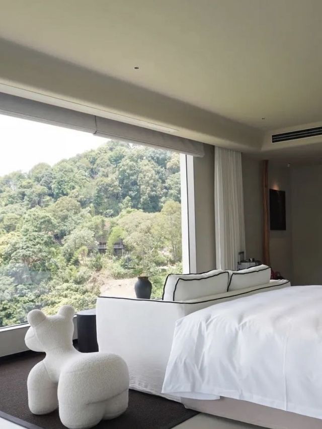 帶娃住進版納的大自然裡！真的是快樂星球！