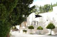 希臘.德爾菲(Delphi)——諸神的呢喃與群山的寧靜