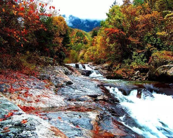 龍上小九寨-遮陽山 龍上小九寨-遮陽山
