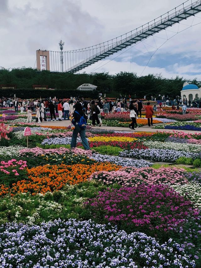 從晨曦到日暮,每一幀都是花漾暴擊 從晨曦到日暮,每一幀都是花漾暴擊
