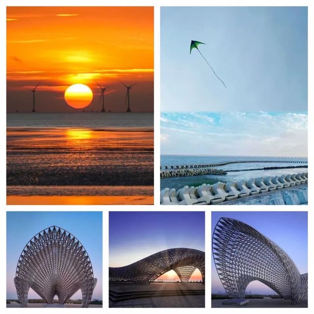 歡迎來南匯嘴觀海公園旅遊