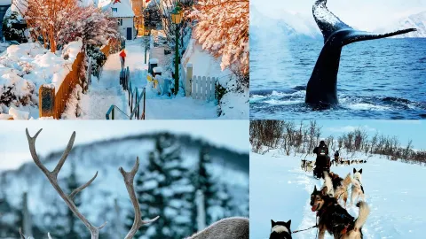 นอร์เวย์ 10 วัน! ทริปเยียวยาระดับสุดยอดในฤดูหนาว! — traveler post in เอเวเนส