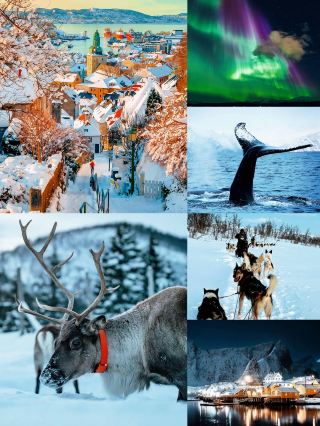 Norway 10 Days! The Ultimate Winter Healing Trip!