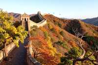 北京隱藏的「小興安嶺」被我找到了！秋日必衝絕美秘境