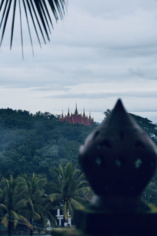 闖入雨林秘境探索千年曼丟古寨，傣家風情拍不停