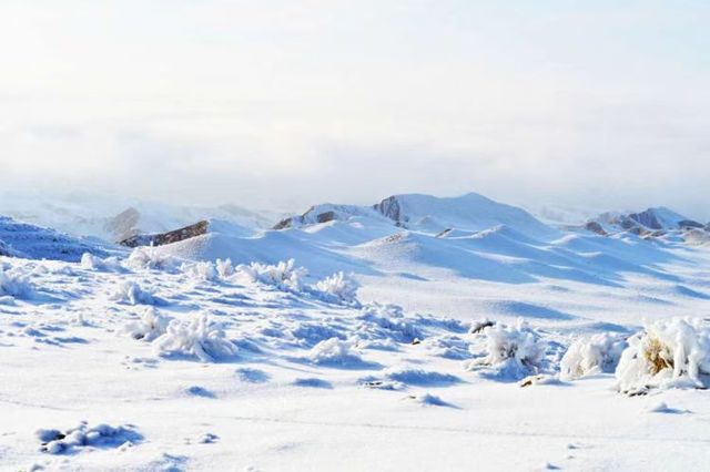 雪染峽谷,軒暖歸途 雪染峽谷,軒暖歸途